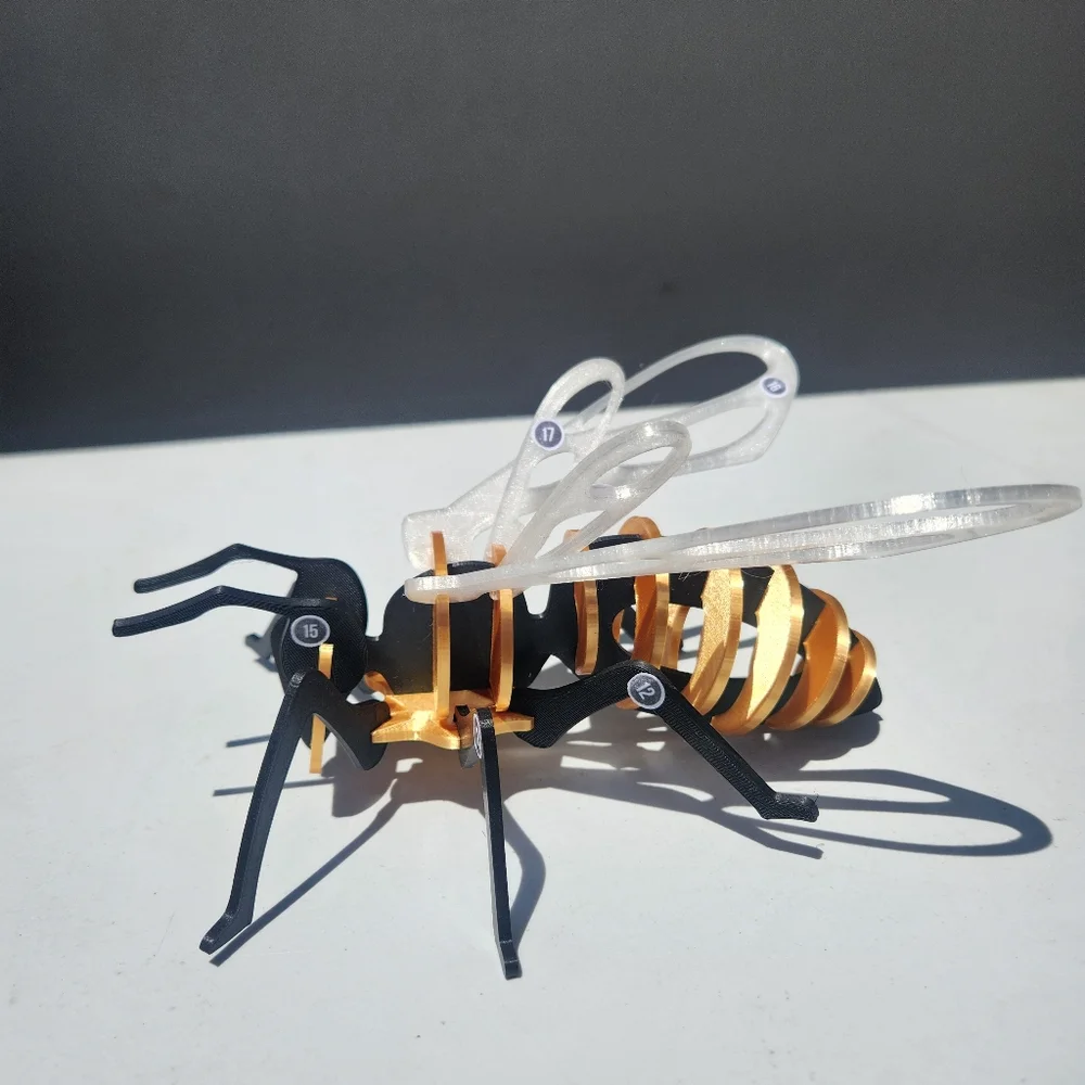 Bee Model Honeybee 3D Puzzle Honey Bees Classroom Science STEM Craft Insect Bugs